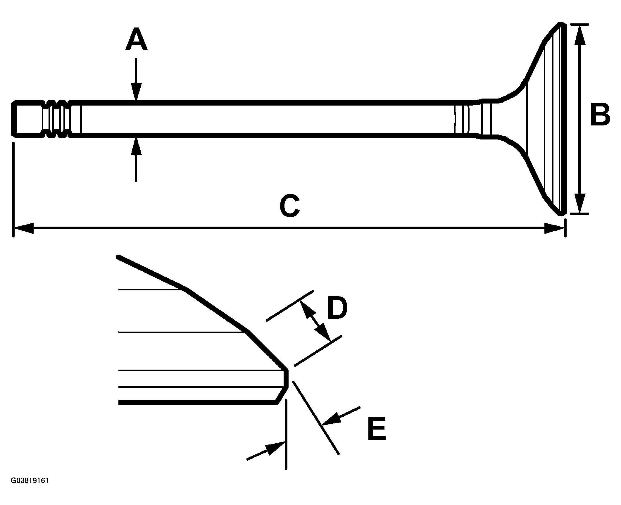 G03819161