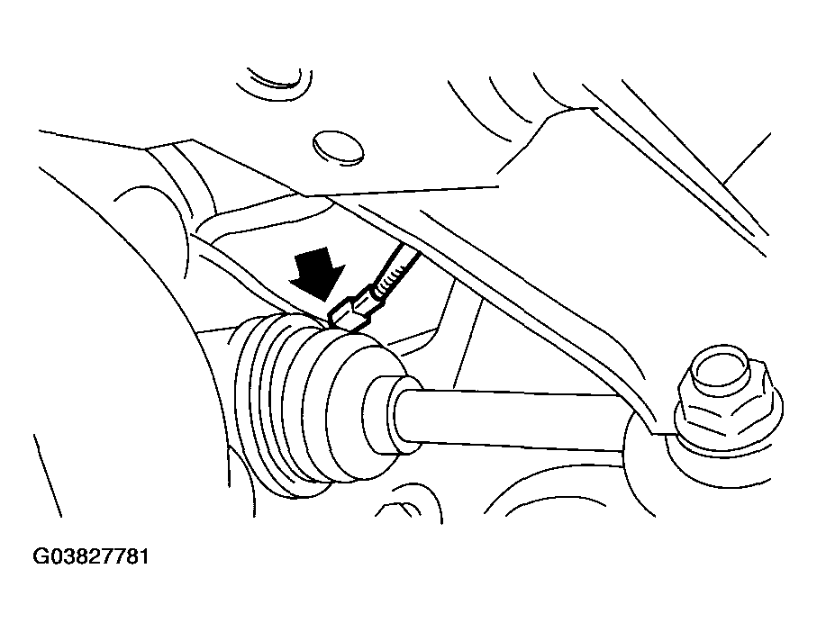 G03827781