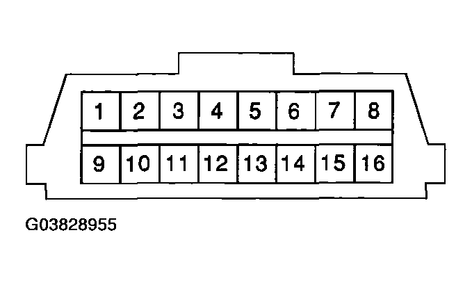 G03828955