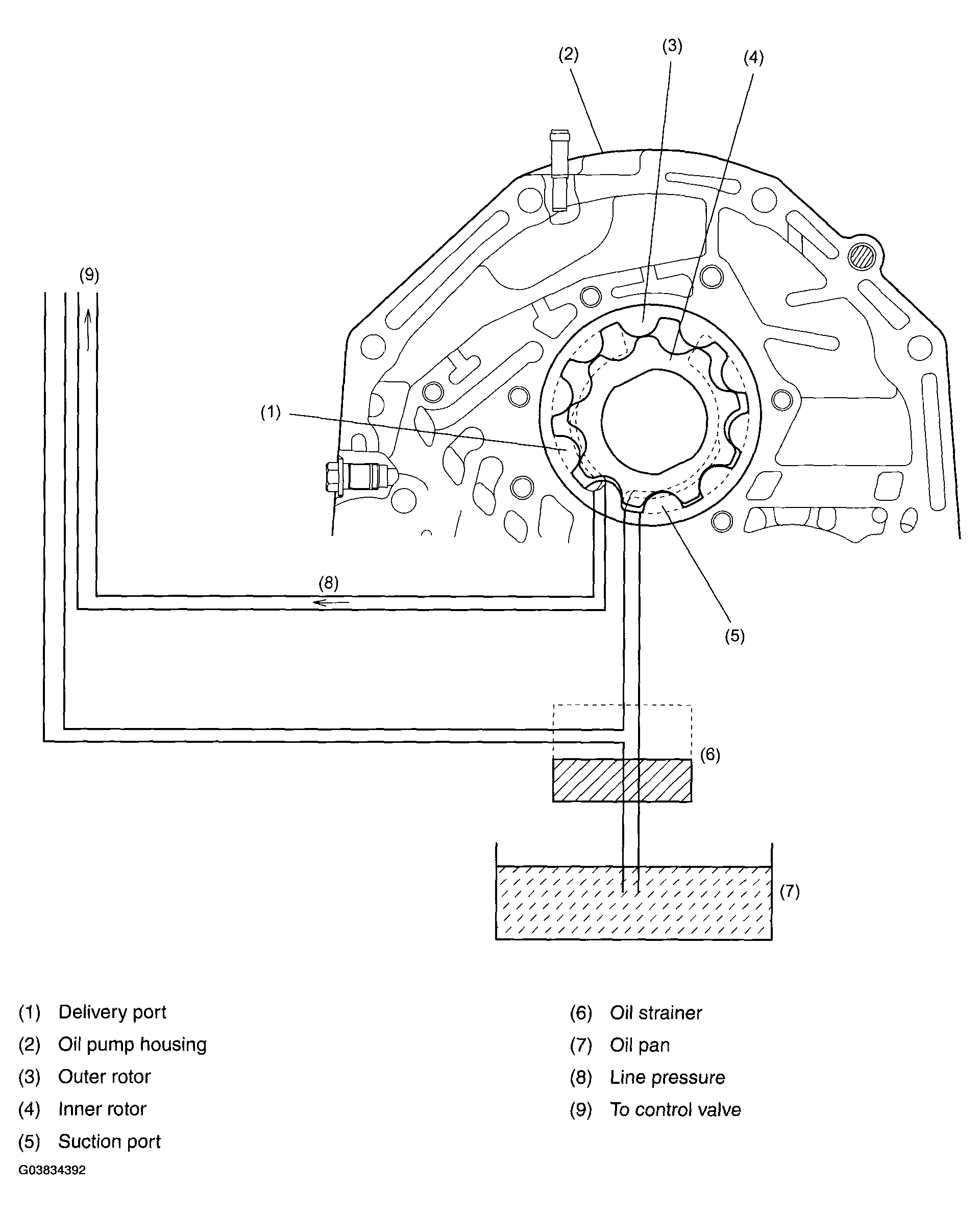 G03834392