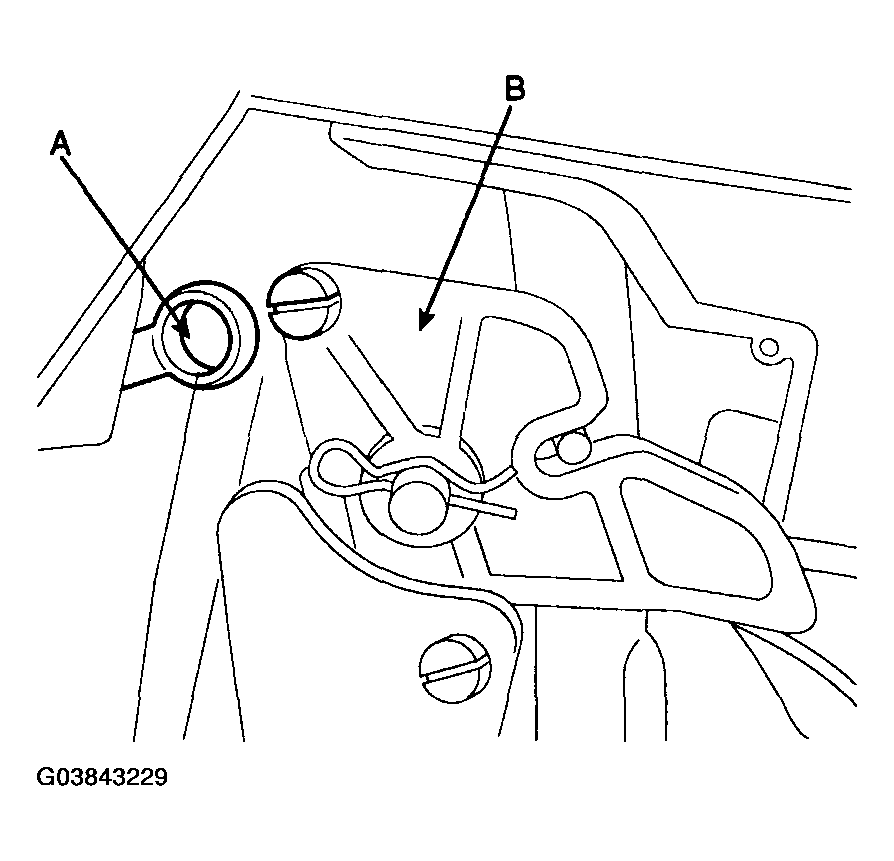 G03843229