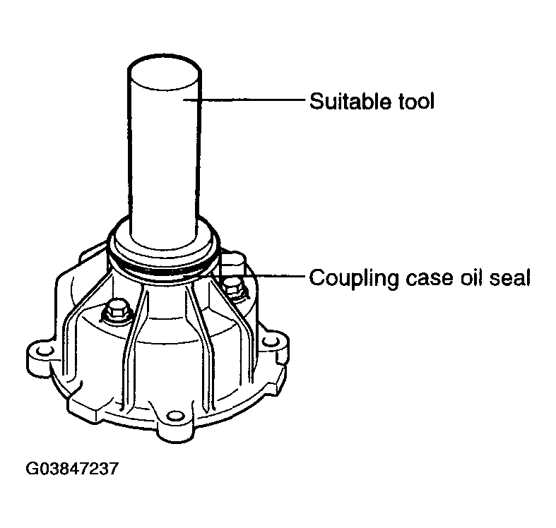 G03847237