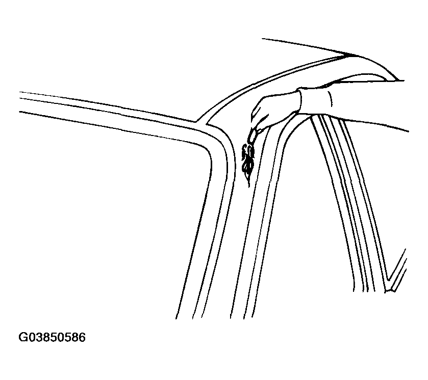 G03850586