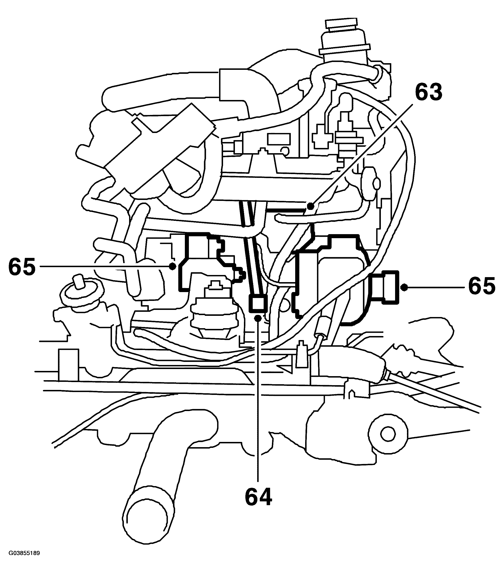 G03855189