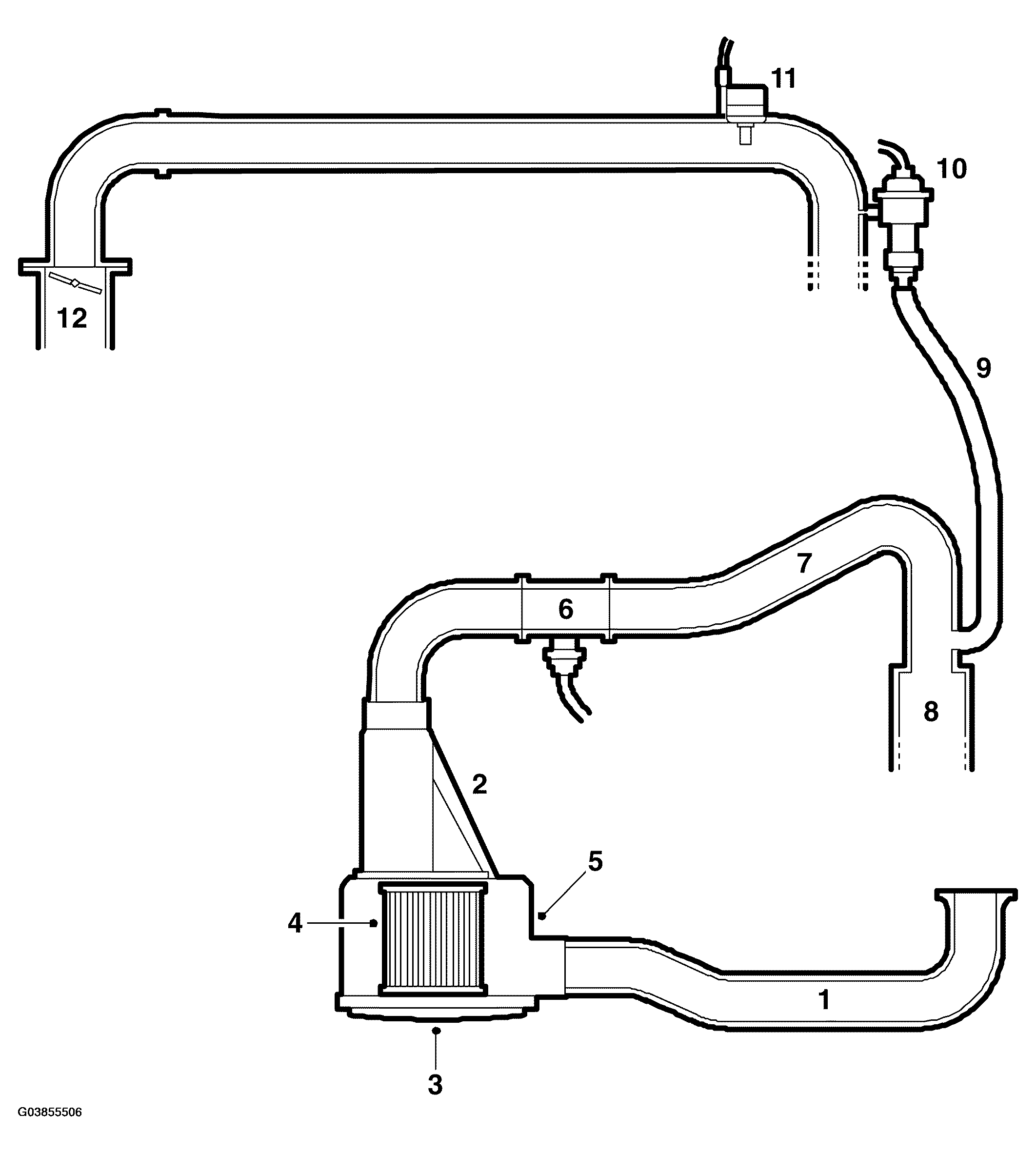 G03855506