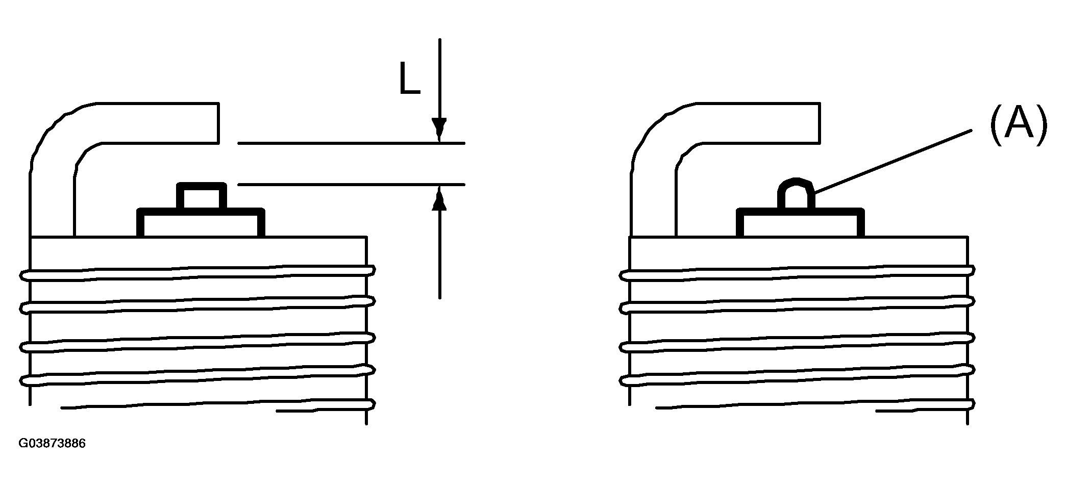 G03873886