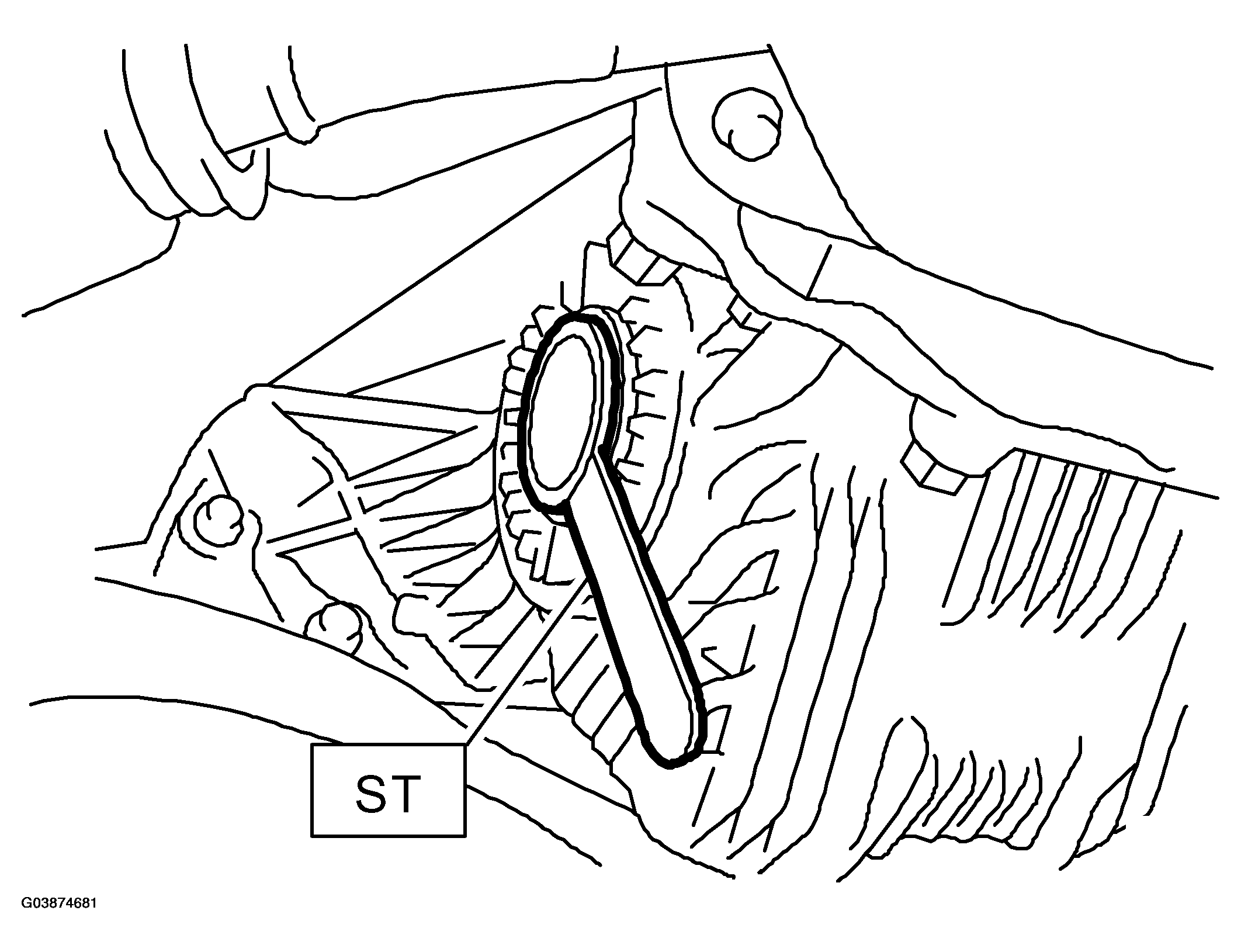 G03874681