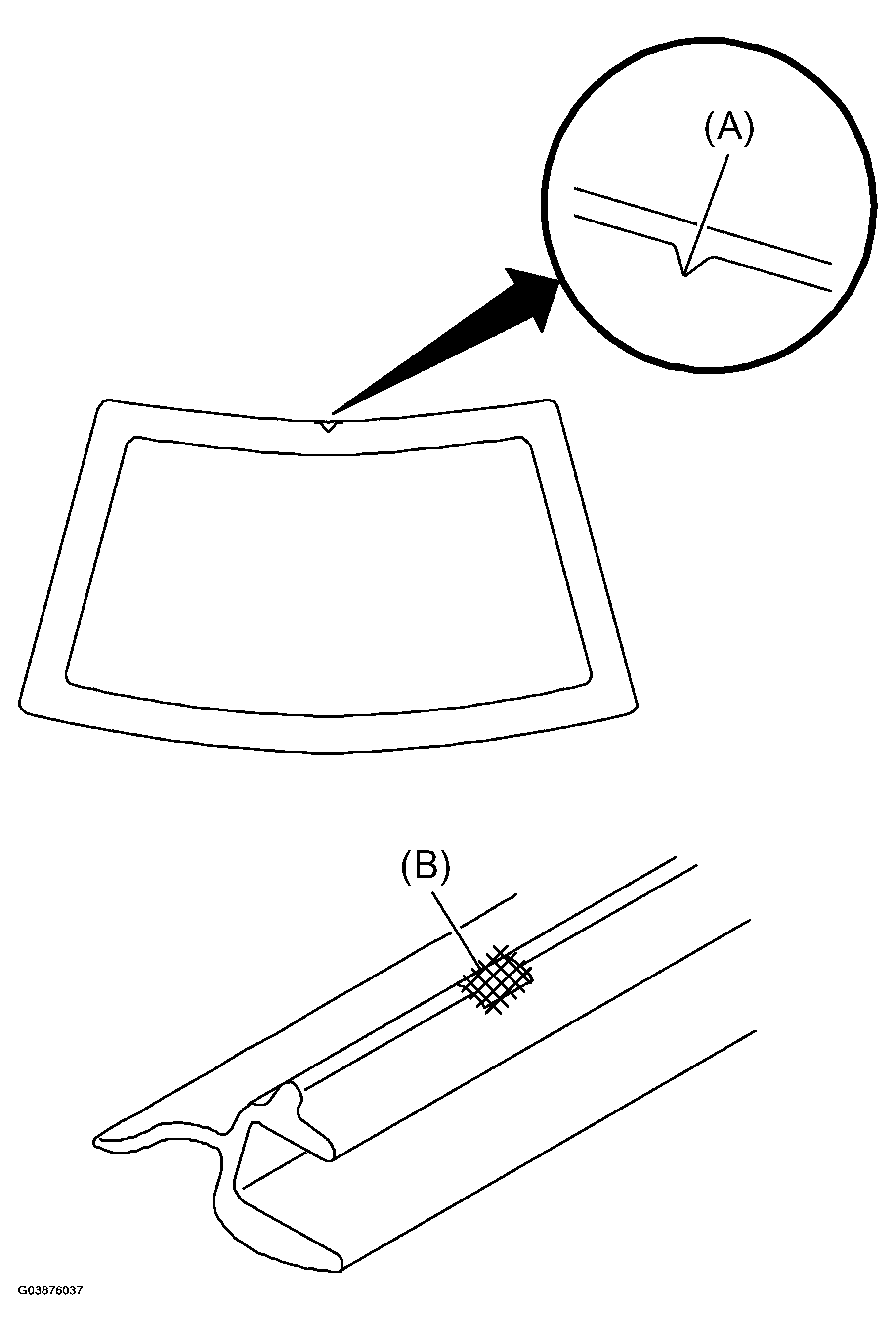 G03876037