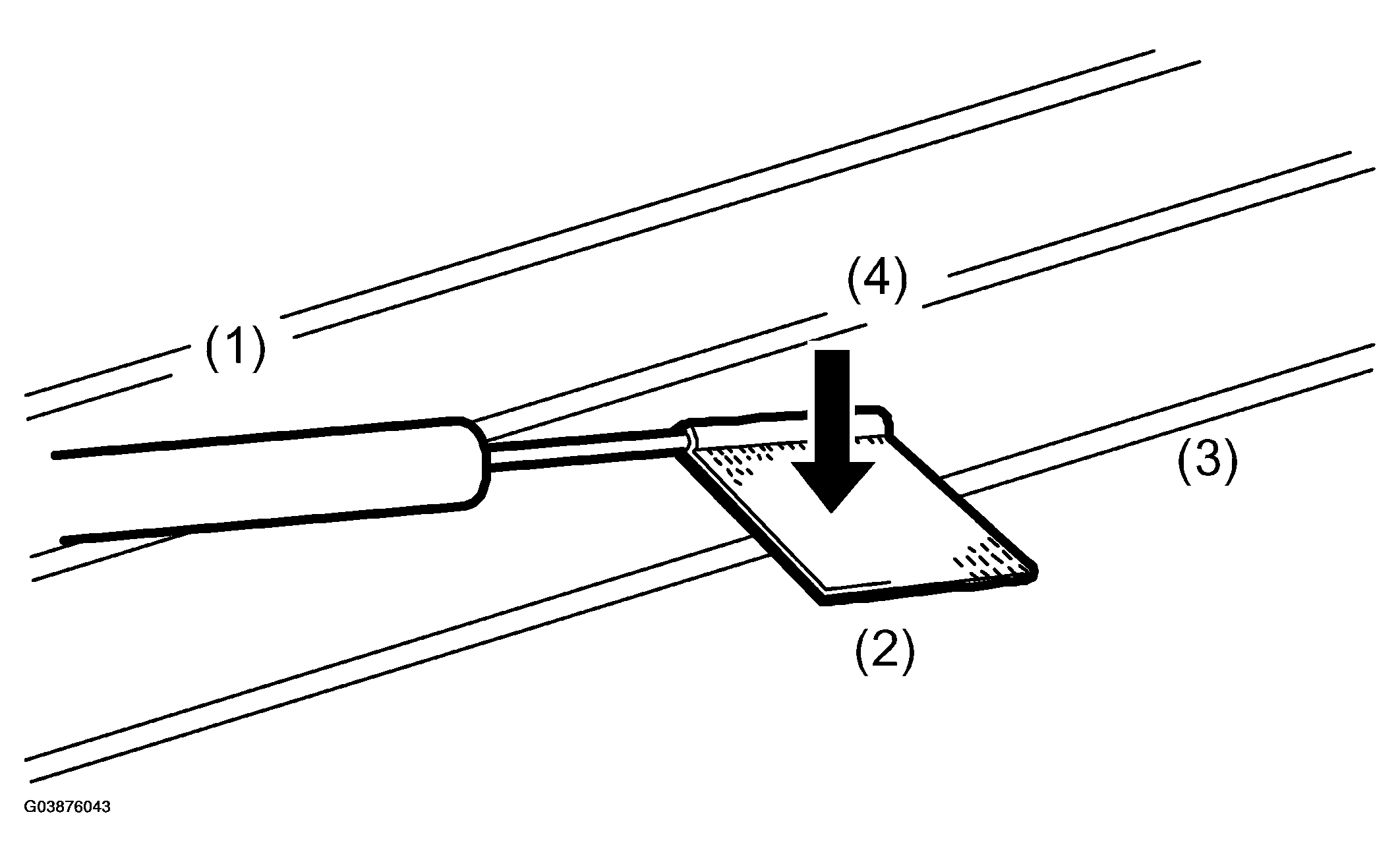 G03876043