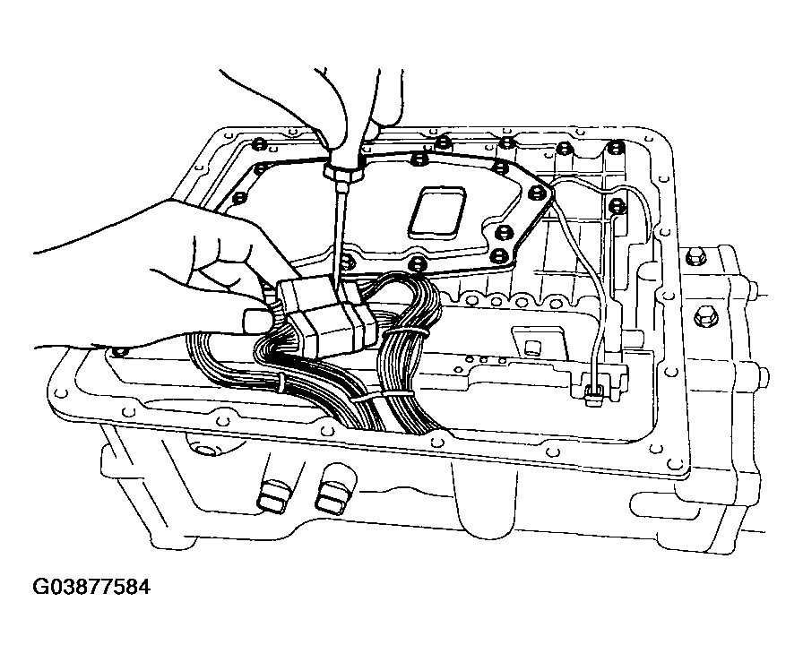 G03877584