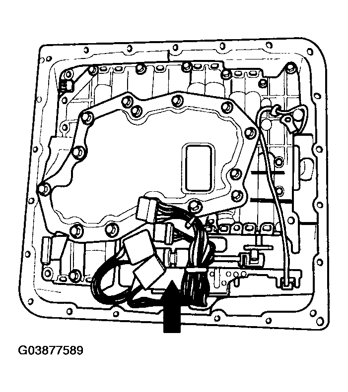 G03877589