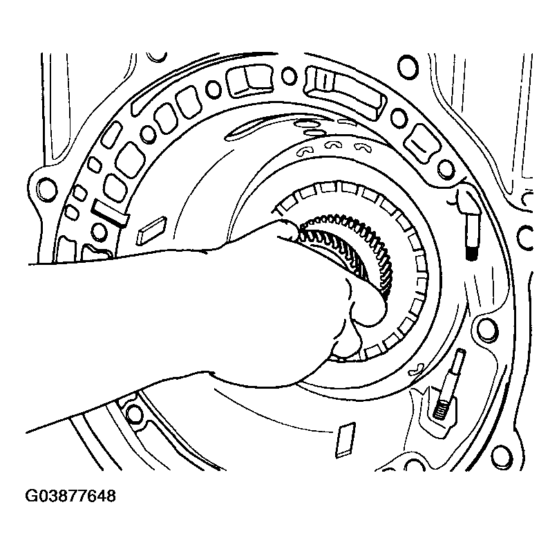 G03877648