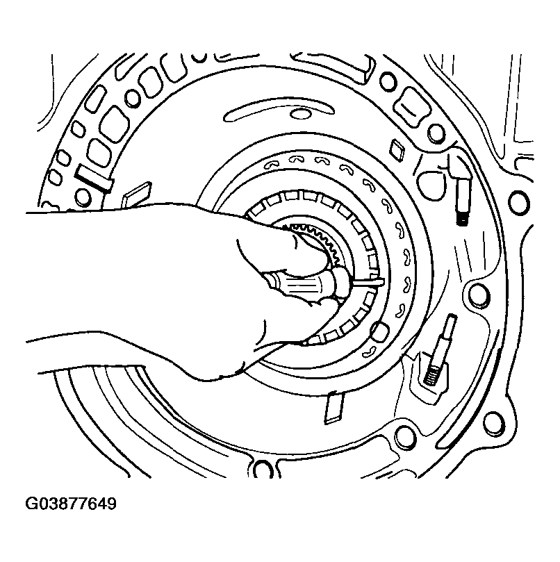 G03877649