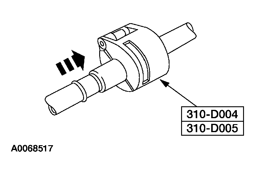 G03909884