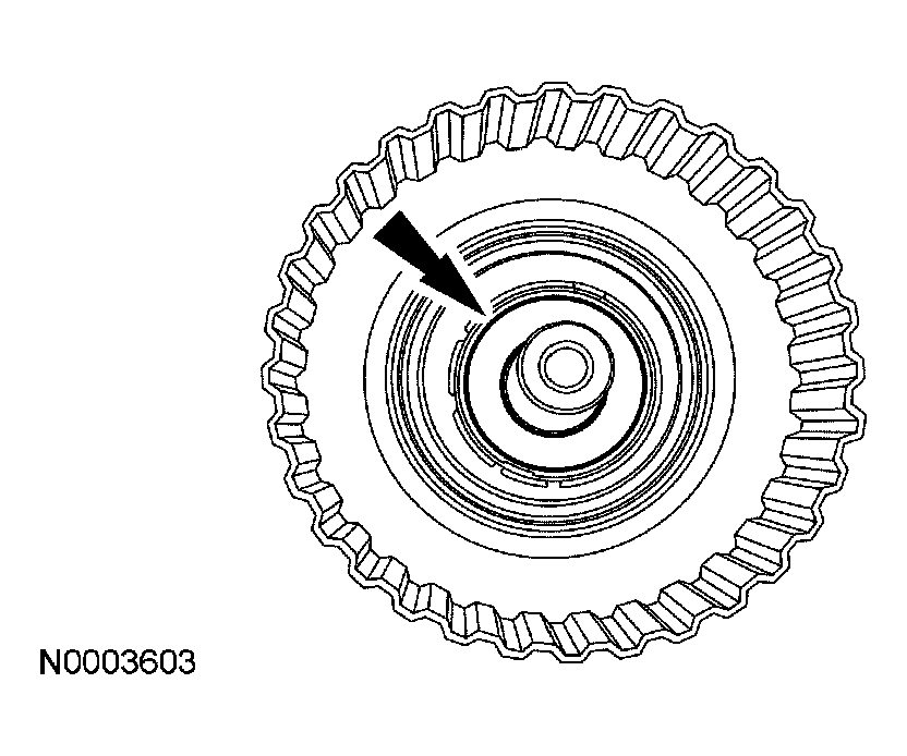 G03929336
