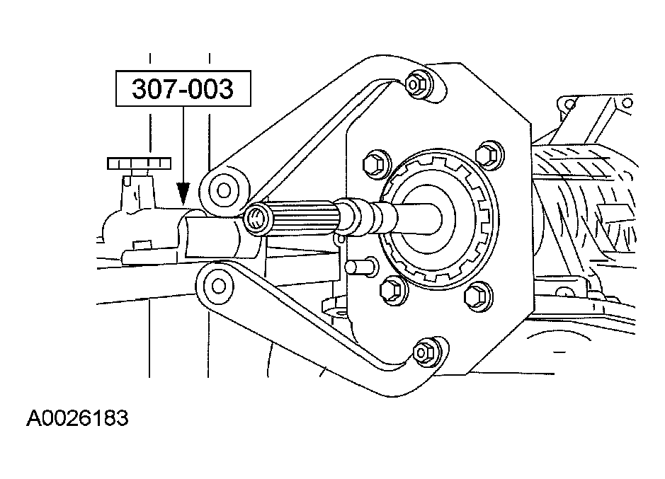 G03975454