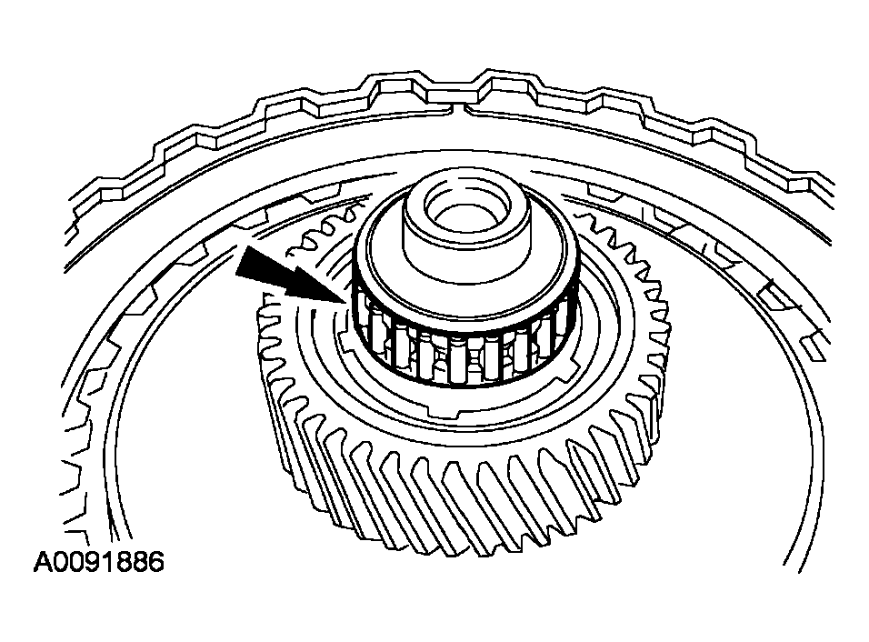 G03991086