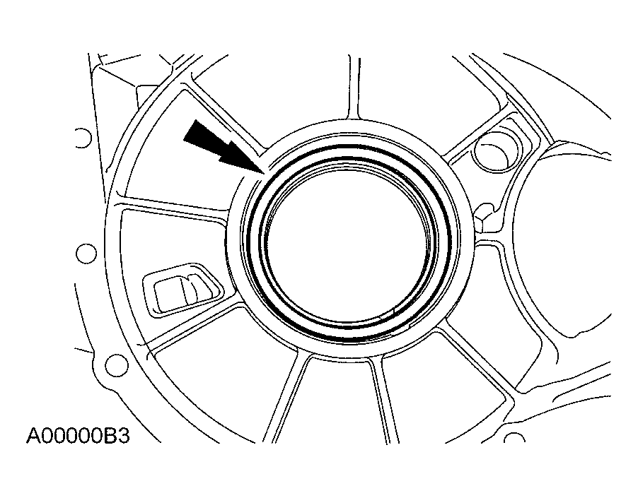 G03991446