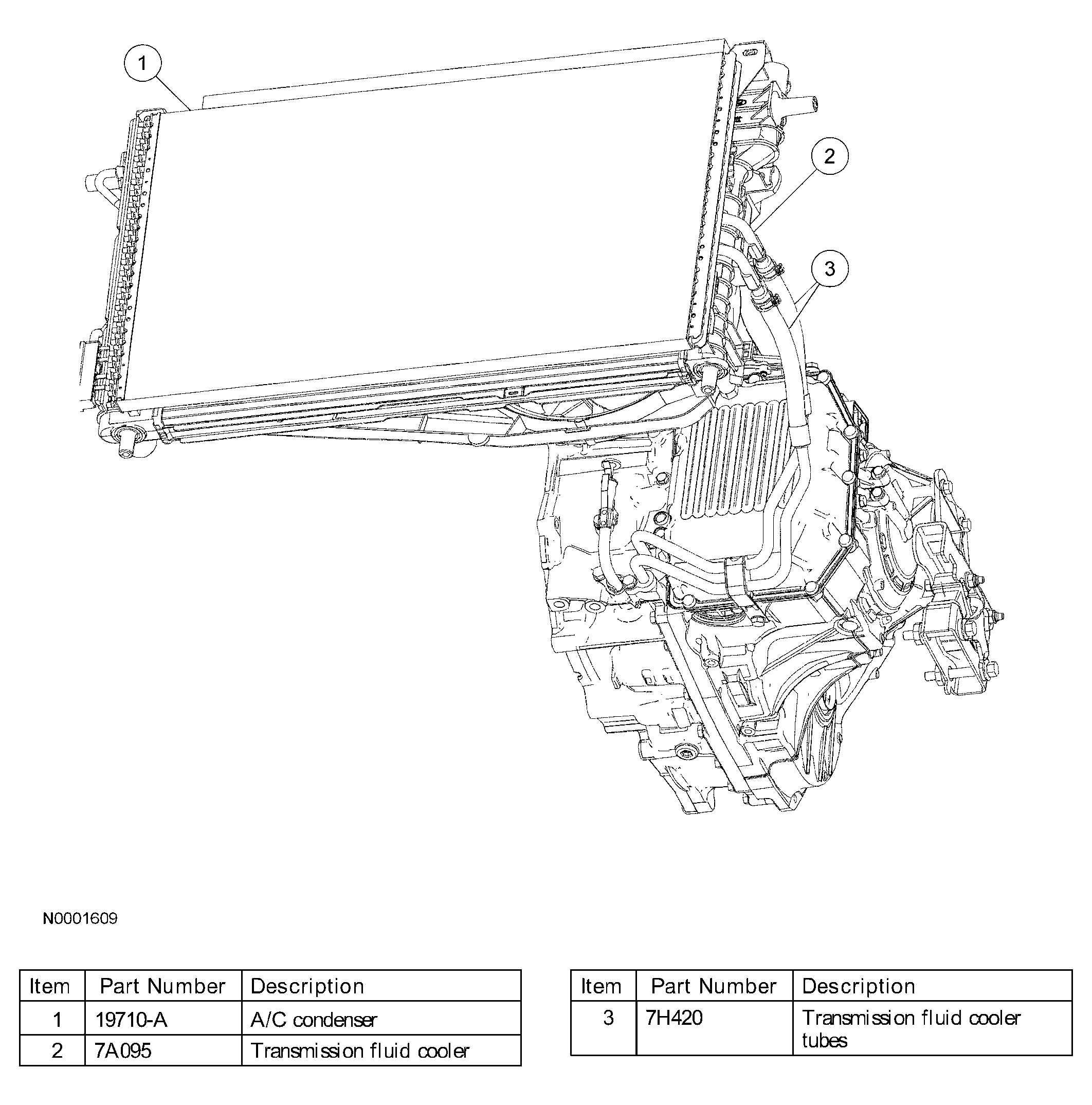 G03991906