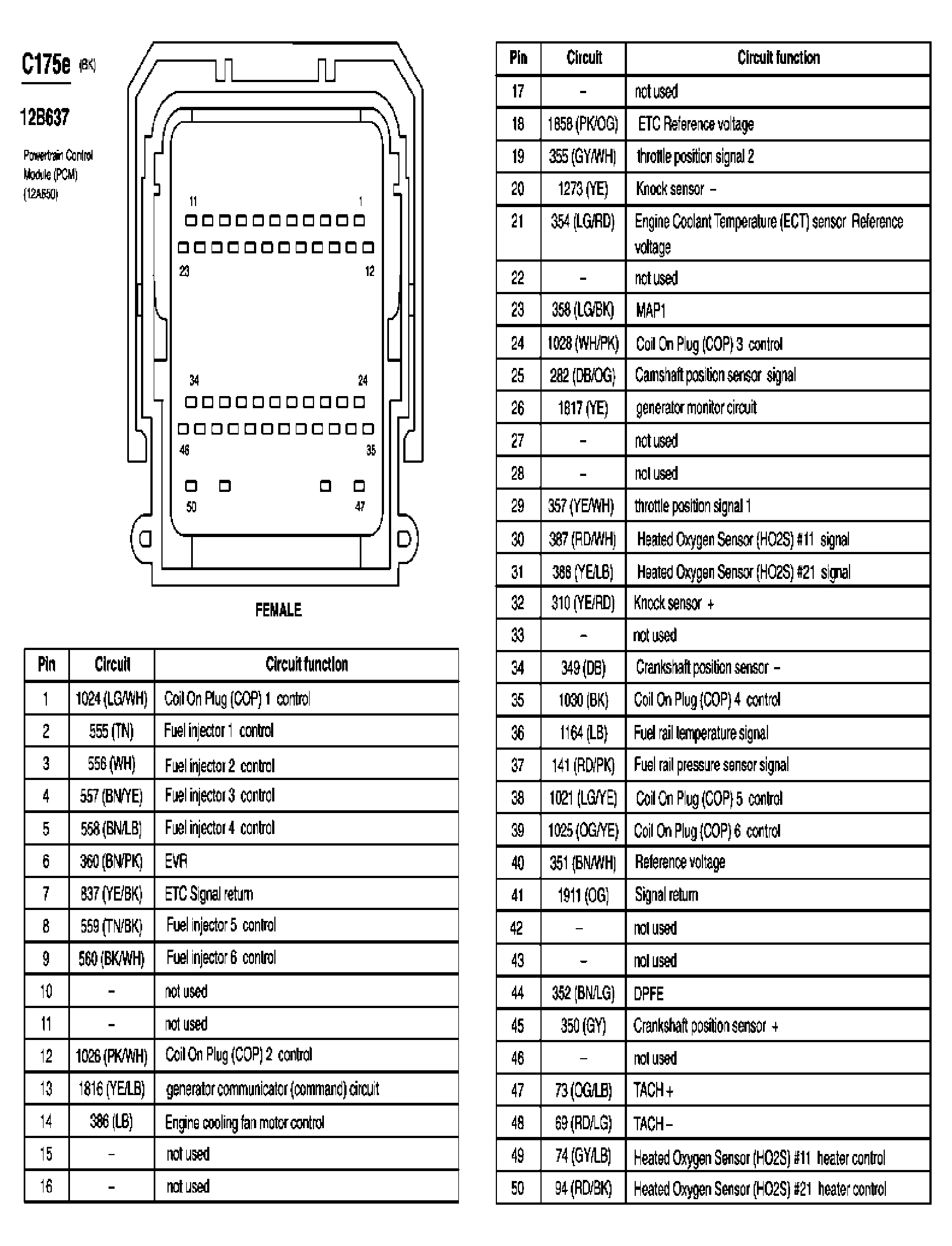 G03994310