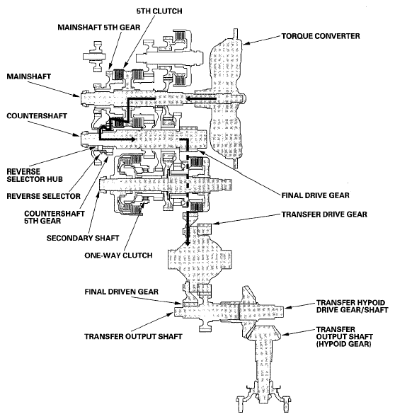 G05495397