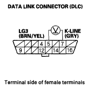 G05593755