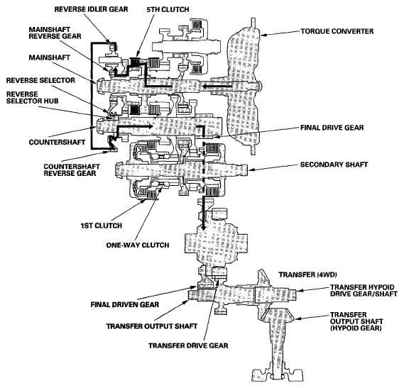 G05593800
