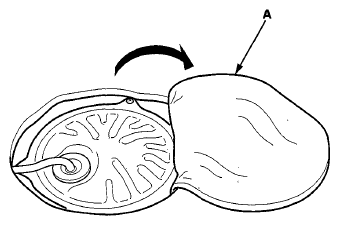 G05961436
