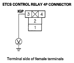 G06429408