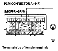G06429515