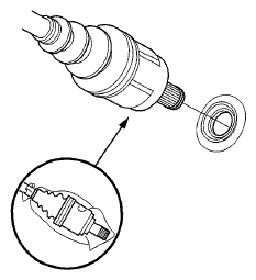 G06430164