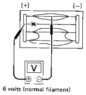 G06443689