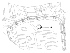 G06494557