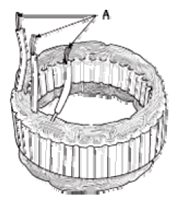 G06526065