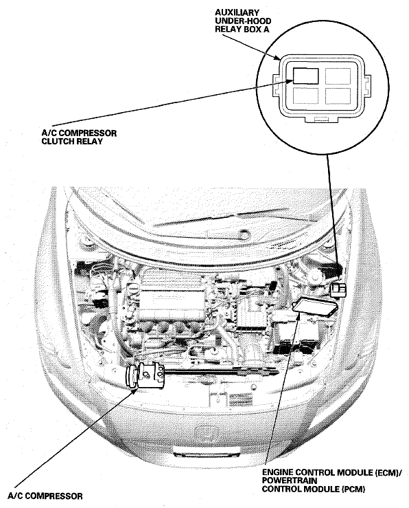 G06950016