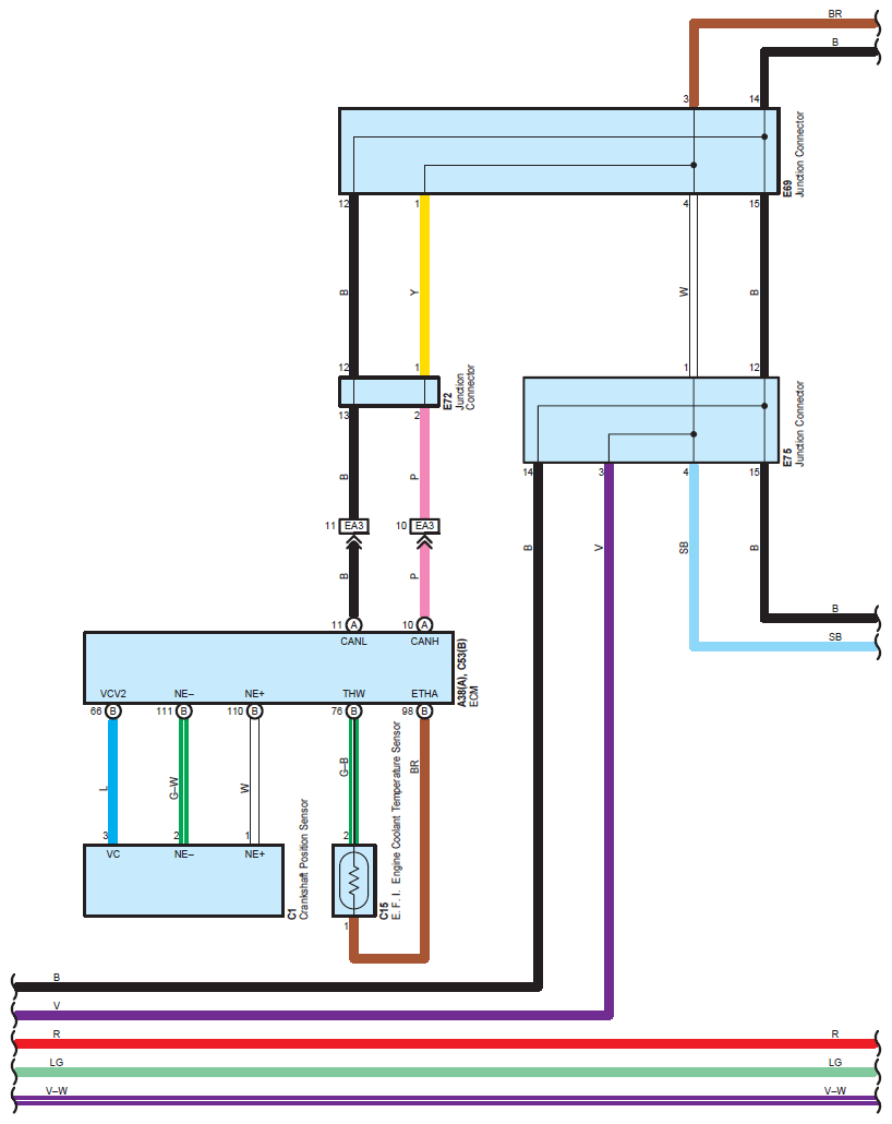 G07116175