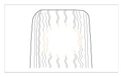 G08810066