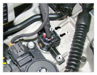 G09765591
