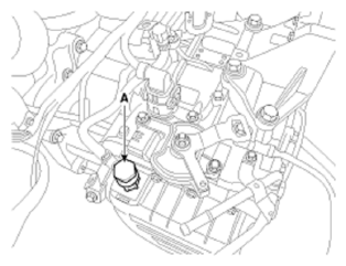 G09777781