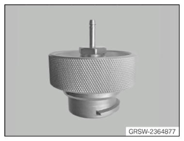 G09995666