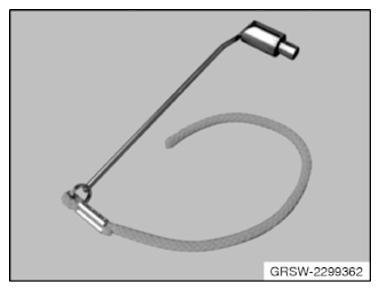 G09995681