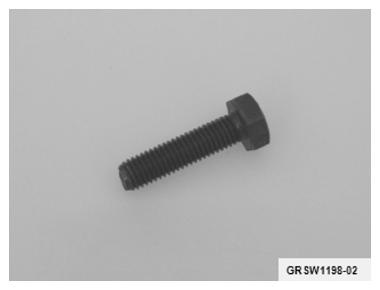 G09995733