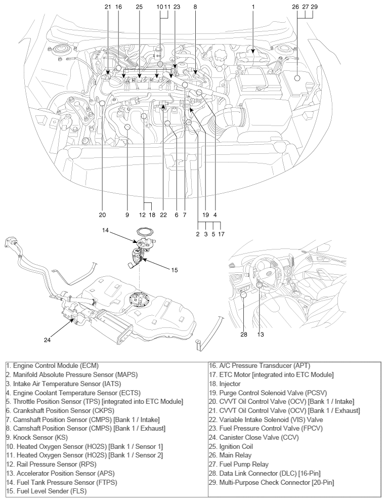 G10607896