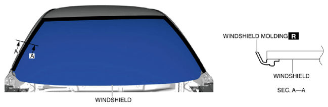 G10949521