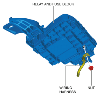 G10955036