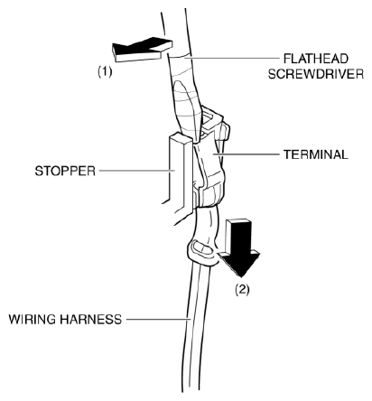 G10963809