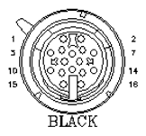 G11019889