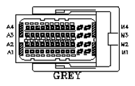 G11045681