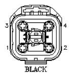 G11049238