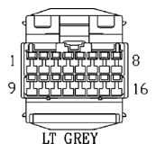 G11061381